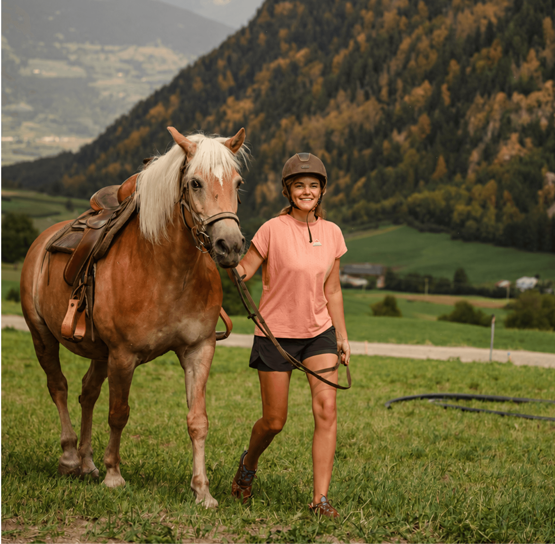 Reiterin mit Haflinger auf der Bergwiese